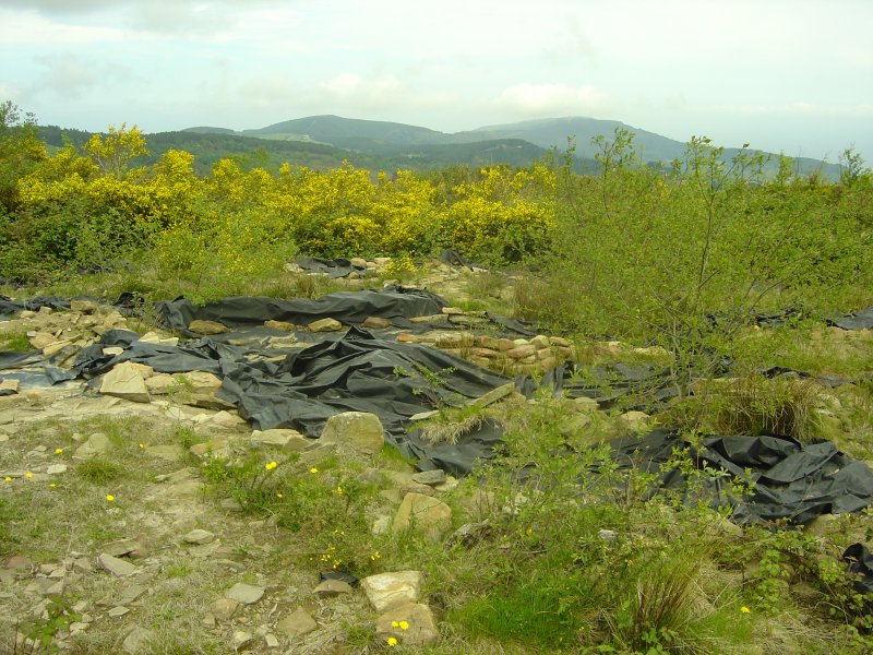 Sollube (Supuesto megalito) Abril 2011